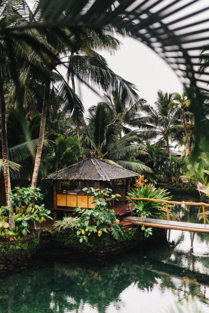 The National Zoo’s Giant Pandas Are Finally Making Their Public Debut